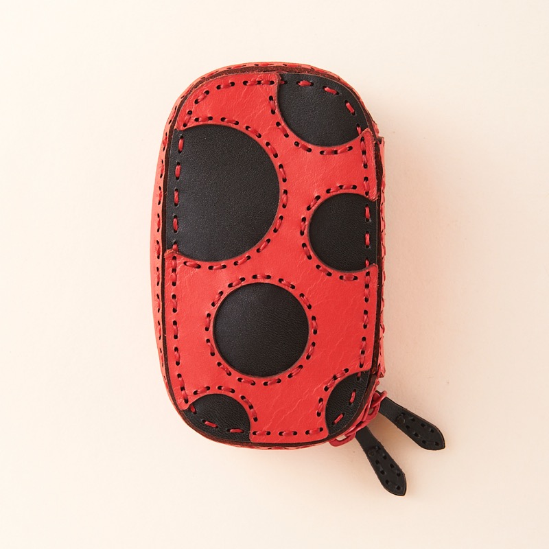 GYPSY multi key case