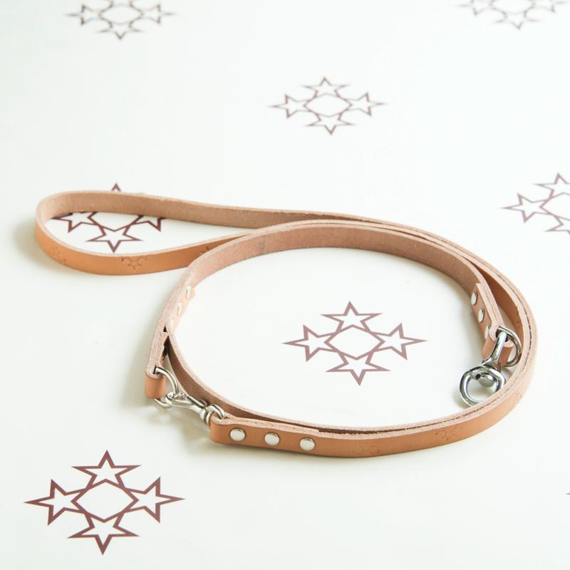 LEAD(多頭用肩掛け 小型犬〜中型犬用)